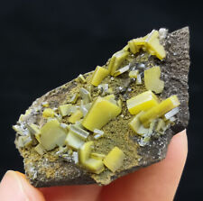 43mm ‘Sandwich' Wulfenite from Mexico CMM2391161 picture
