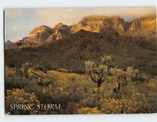 Postcard Spring Storm Ajo Mountains Arizona USA picture