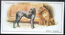 GREAT DANE  Vintage 1925 Illustrated Dog Card  ED18M picture