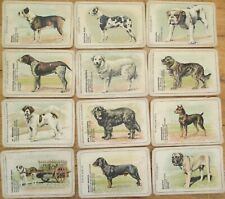 Dog Breeds on Playing Cards 1930s Color Litho Advertising Deck 48 Different Dogs picture