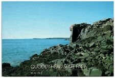 Quoddy Head State Park in Lubec, Maine Postcard picture
