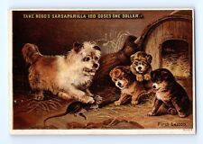 Hood's Sarsaparilla Trade Card Dog Teaching Puppies Hunting Rat Catarrh VTG Ad picture