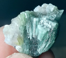 60 Crt. Bi colour Top quality TOURMALINE Crystal Bunch specimen @ Afgh. picture