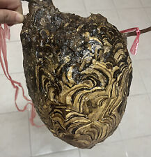 Hive Hornet Nest Paper Bald Face Wasp Display TAXIDERMY Decor Rare Real Asia Bee picture