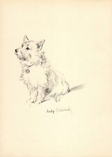 1940s Antique Lucy Dawson Cairn Terrier Print Wall Art Decor Illustration 54441L picture