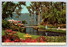 Vintage Postcard Roses Bougainvillea Cypress Trees picture