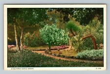 CA-California A Cactus Garden Vintage Souvenir Postcard picture