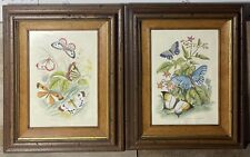 Vintage Framed Hand Painted Butterfly Illustrations Set Of 2 Made In Italy picture