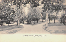 c.1905 Pretty Driveway Great Neck LI NY post card picture