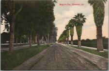 c1900s RIVERSIDE, California HAND-COLORED Postcard 