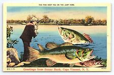 Postcard Greetings From Sunny Bank Cape Vincent New York Exaggerated Bass / Fish picture