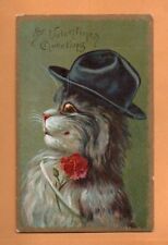 Boulanger CAT with Hat & Carnation – Valentine’s Greetings picture
