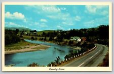 COUNTRY SCENE ALONG RIVER CRYSTAL MICHIGAN VTG POSTCARD picture