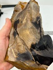 Beautiful Petrified Wood Cabbing Lapidary Collecting Fossil Oregon picture