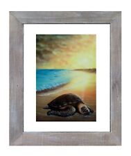 Sea Turtle in bright sunset S/N limited edition signed print by artist framed picture