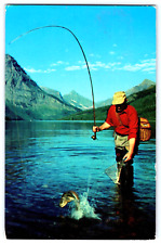 Postcard Trout Fishing @ Two Medicine Lake Glacier National Park Montana    D-3 picture