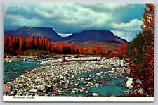 Postcard Alaska Granit Creek c1984 10H picture