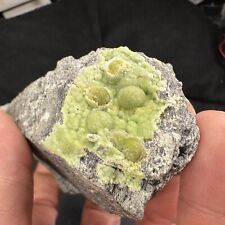 Starburst Botryoidal Green Wavellite Crystals on Matrix from Arkansas picture