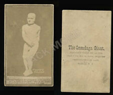 Rare CDV Photo of the Onondaga Cardiff Giant - 1860s Oddities & Sideshow History picture