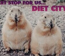 Prairie Dogs: Next Stop For Us Diet City Postcard  picture