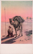 Postcard Vintage (1)Camel/Man in Prayer UP   (353) picture