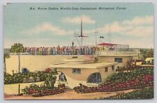 Postcard Marine Studios World's Only Oceanarium Marineland Florida FL UNP (a1) picture