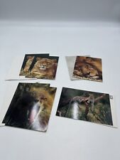 Brand New Sierra Club Postcards Animals Lion Wolf More picture