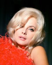 Virna Lisi gorgeous 1960's close-up portrait 24x36 inch Poster picture