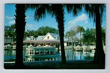 Miami Beach FL-Florida, Florida Silver Springs, Antique, Vintage Postcard picture