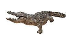 Schleich Crocodile Alligator Figure Toy Animal Movable Mouth 2014 D-73527 picture