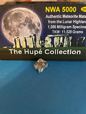Meteorite NWA 5000 Authentic Material from the Lunar Hihglands 1.086 Milligram  picture