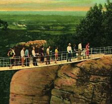 Lookout Mountain TN Rock City Gardens Swing Along Bridge UNP  Linen Postcard Q12 picture