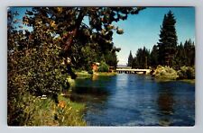 Tahoe City CA-California, Truckee River, Antique Vintage Souvenir Postcard picture