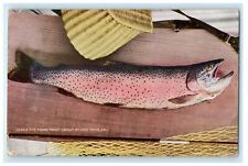 c1910's Five Pound Trout Fish Caught At Lake Tahoe California CA Postcard picture