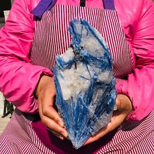 3.52LB Rare Natural beautiful Blue Kyanite with Quartz Crystal Specimen Rough picture