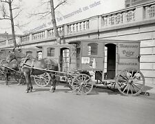 Photograph of the Thompson's Dairy Horse Drawn Delivery Wagons Year  1927  8x10 picture