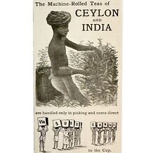 Ceylon & India Machine Rolled Teas 1897 Advertisement Victorian Beverage DWHH11 picture