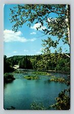 MI-Michigan, Lower Falls the Tahquamenon River, Vintage Postcard picture