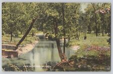 Postcard Indiana View Near Hobart Unposted Divided Back Era Lake Landscape picture