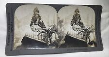 Antique Keystone View Stereoview Card “The Little Orphan’s Dream” #8018 ~ Child picture