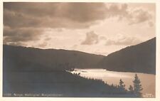Vintage Postcard 1910's Norge Bergensbanen Nesbyen Hallingdal Norway picture