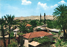 Jericho Palestine, City of Palms, Birds Eye View, Vintage Scalloped Postcard picture