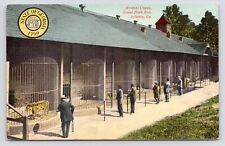 c1905~Atlanta Georgia GA~Grant Park Zoo~Animal Cages~Tiger~Antique Postcard picture