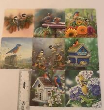 Beautiful Vivid 8 Bird Card Images Double Sided 3.5x3.5 Measurements picture