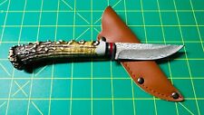 8” Fixed Blade Faux BONE HANDLE Survival Hunting Knife picture