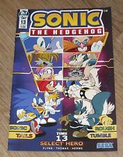 SEGA SONIC the HEDGEHOG #13 IDW COMICS January 2019 COVER A VARIANT picture