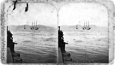 c.1880s SAN FRANCISCO INSTANTANEOUS MARINE VIEW w/SEAGULLS,SAILING SHIP~NEGATIVE picture