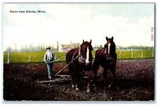 c1910 Man Horse Farming Exterior Scene Sebeka Minnesota Vintage Antique Postcard picture