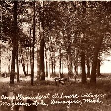 c1924 RPPC Camp Grounds Gilmores Cottages Magician Lake Dowagiac Michigan Photo picture
