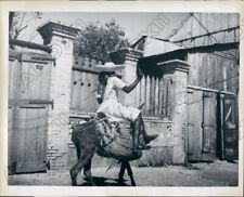 1963 Port Au Prince Haiti Native Woman Transported Ware to Market Press Photo picture